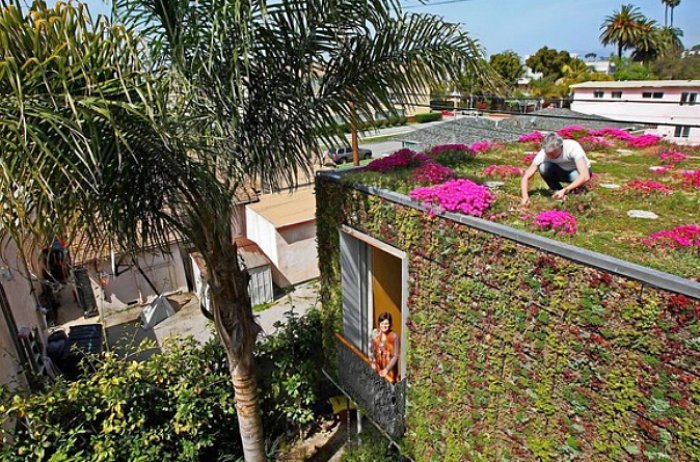 green roofed house